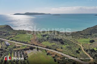 Αγροτεμάχια 10.993 τ.μ. για πώληση, Μεσσηνία, Μεθώνη-thumb-1