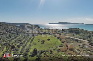 Αγροτεμάχια 10.993 τ.μ. για πώληση, Μεσσηνία, Μεθώνη-thumb-13