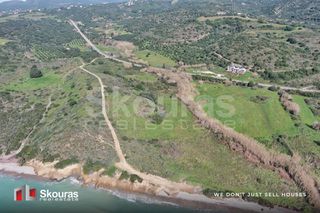 Αγροτεμάχια 10.993 τ.μ. για πώληση, Μεσσηνία, Μεθώνη-thumb-6