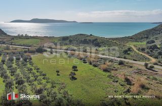 Αγροτεμάχια 10.993 τ.μ. για πώληση, Μεσσηνία, Μεθώνη-thumb-11