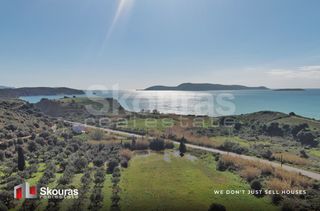 Αγροτεμάχια 10.993 τ.μ. για πώληση, Μεσσηνία, Μεθώνη-thumb-12