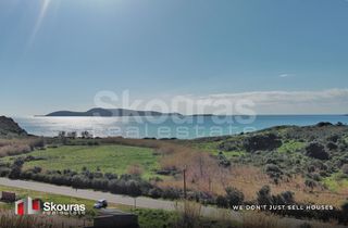 Αγροτεμάχια 10.993 τ.μ. για πώληση, Μεσσηνία, Μεθώνη-thumb-20