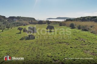 Αγροτεμάχια 10.993 τ.μ. για πώληση, Μεσσηνία, Μεθώνη-thumb-14