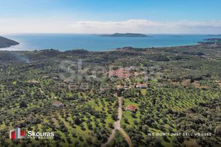 Οικόπεδο 1.872 τ.μ. για πώληση, Μεσσηνία, Μεθώνη-thumb-5