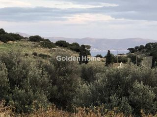 Κτίριο 392 τ.μ. για πώληση