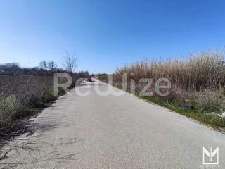 Αγροτεμάχια 11.495 τ.μ. για πώληση