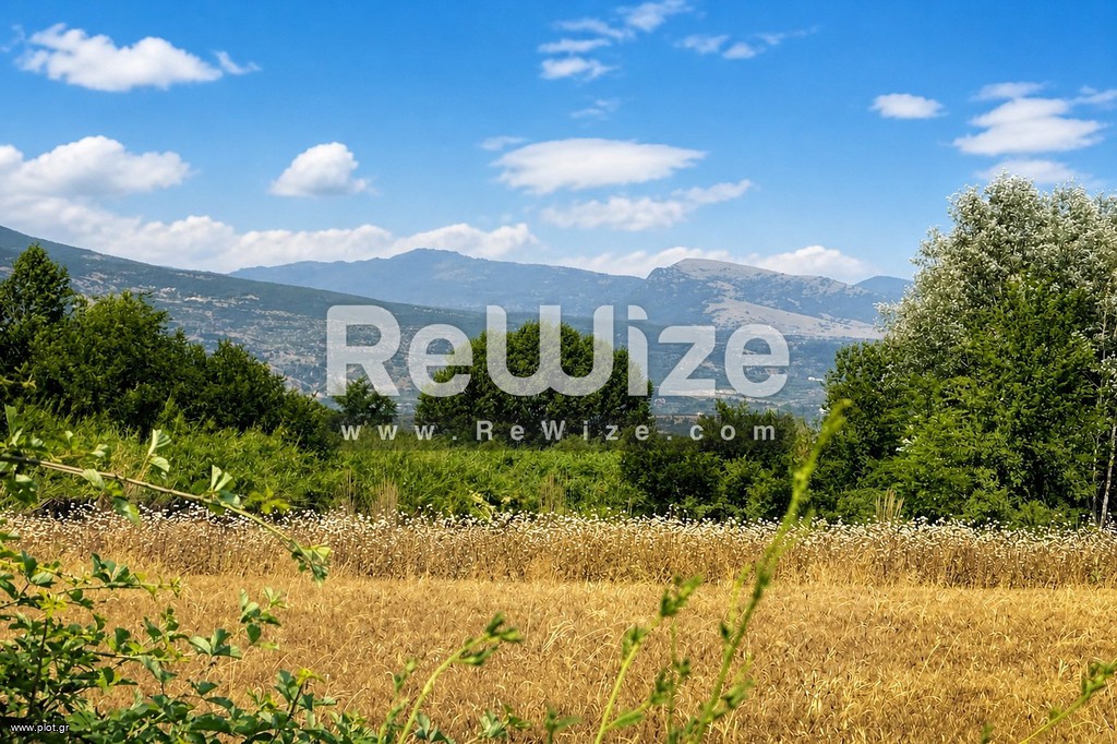 Αγροτεμάχια 11.495 τ.μ. πρός πώληση, Ν. Σερρών, Σέρρες