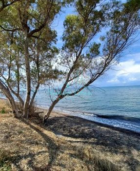 Μονοκατοικία 65 τ.μ. προς πώληση