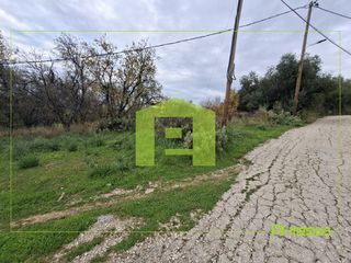Οικόπεδο 538 τ.μ. πρός πώληση, Αχαΐα, Μεσσατίδα-thumb-15