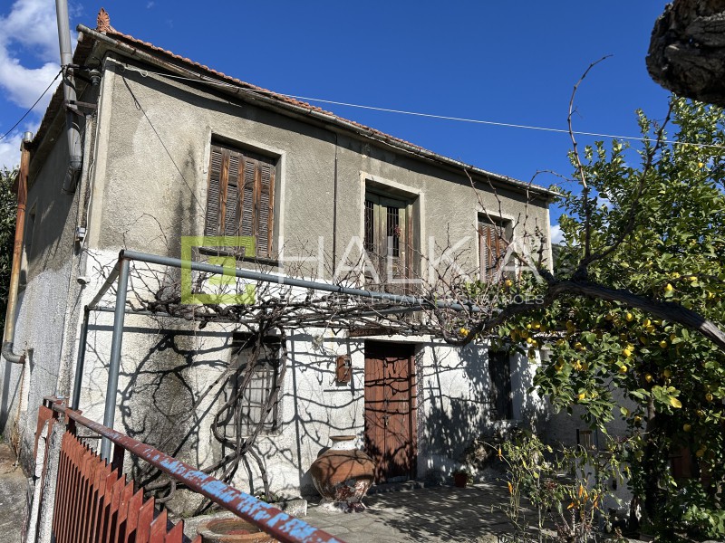 Μονοκατοικία 184 τ.μ. πρός πώληση, Μαγνησία, Αρτέμιδα