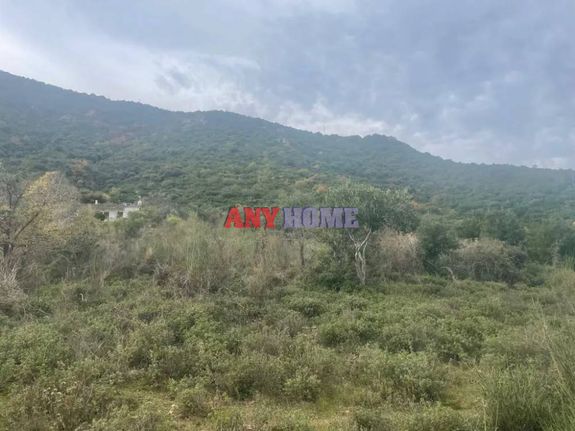 Αγροτεμάχια 4.072 τ.μ. για πώληση, Θεσσαλονίκη - Υπόλ. Νομού, Άγιος Γεώργιος