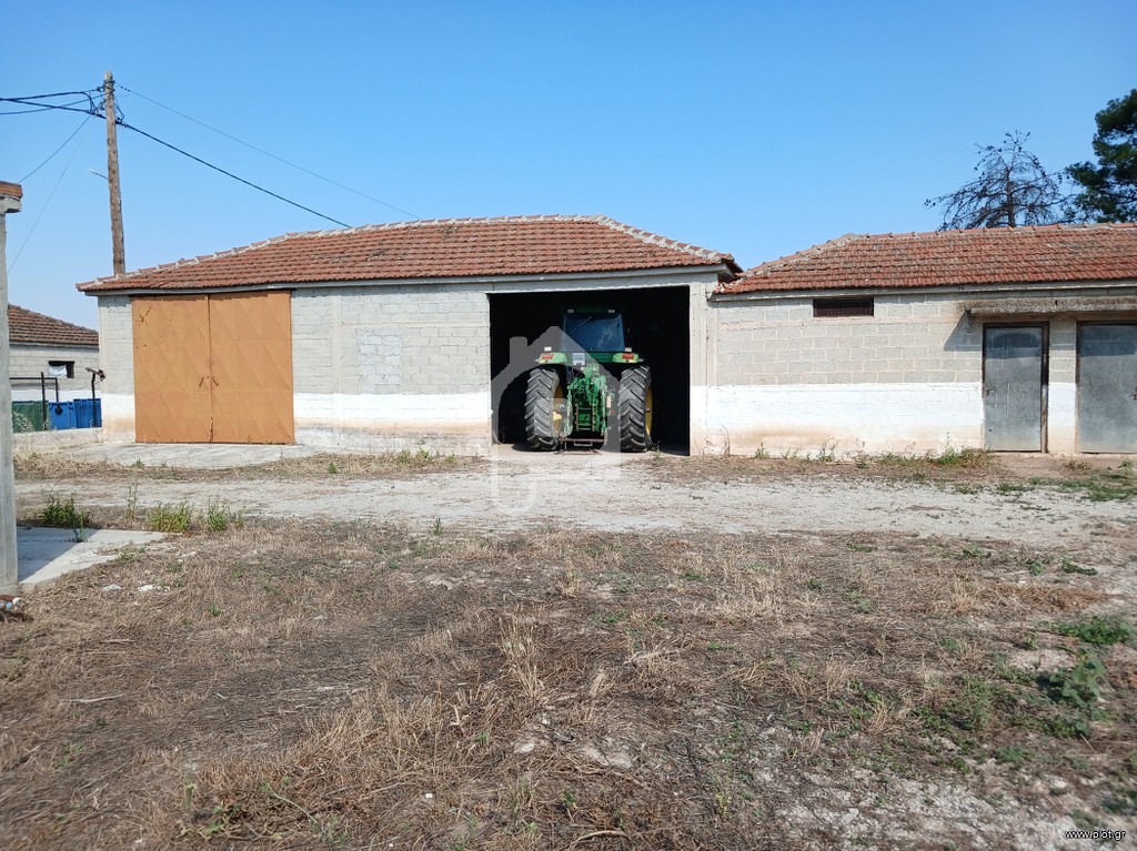 Φάρμα / ράντσο 106.000 τ.μ. πρός πώληση, Ν. Λάρισας, Αρμένιο