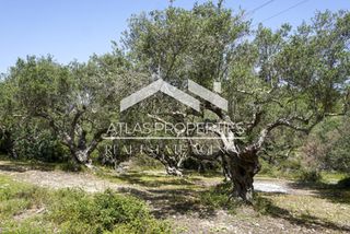 Οικόπεδο 4.002 τ.μ. προς πώληση, Αλμυρίδα Βάμου-thumb-12