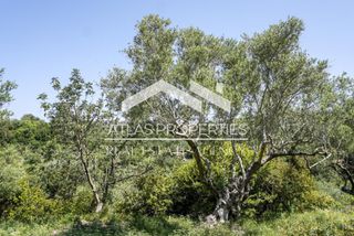 Οικόπεδο 4.002 τ.μ. προς πώληση, Αλμυρίδα Βάμου-thumb-6