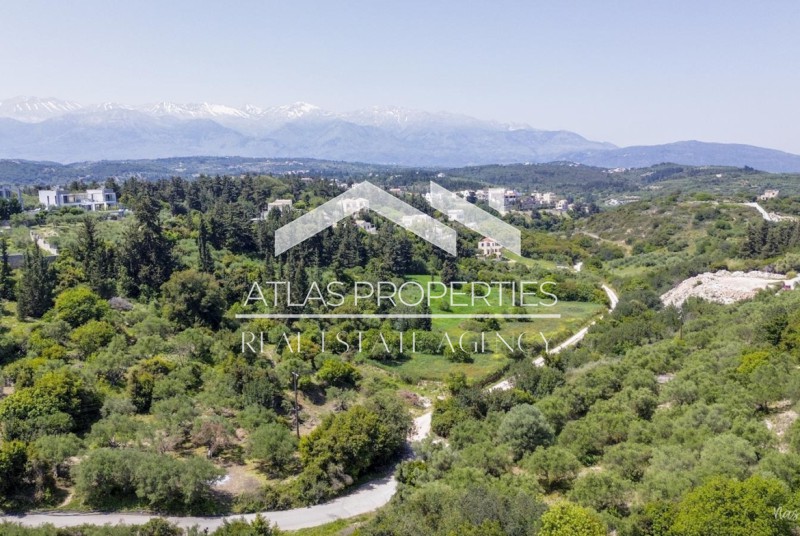 Οικόπεδο 4.002 τ.μ. προς πώληση, Αλμυρίδα Βάμου