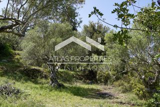 Οικόπεδο 4.002 τ.μ. προς πώληση, Αλμυρίδα Βάμου-thumb-11