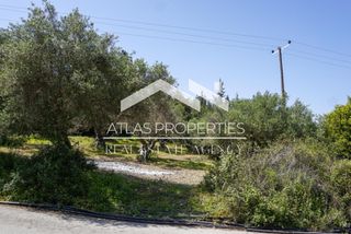 Οικόπεδο 4.002 τ.μ. προς πώληση, Αλμυρίδα Βάμου-thumb-8