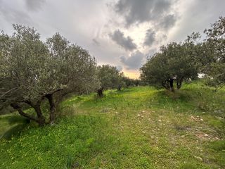 Οικόπεδο 5.025 τ.μ. για πώληση, Ν. Ηρακλείου, Καστέλλι-thumb-9