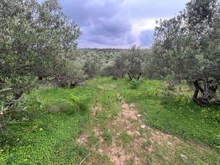 Οικόπεδο 5.025 τ.μ. για πώληση, Ν. Ηρακλείου, Καστέλλι-thumb-10