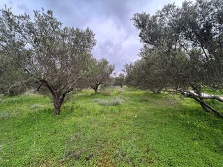 Οικόπεδο 5.025 τ.μ. για πώληση, Ν. Ηρακλείου, Καστέλλι-thumb-11