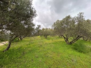 Οικόπεδο 5.025 τ.μ. για πώληση, Ν. Ηρακλείου, Καστέλλι-thumb-12