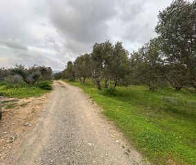 Οικόπεδο 5.025 τ.μ. για πώληση, Ν. Ηρακλείου, Καστέλλι-thumb-13