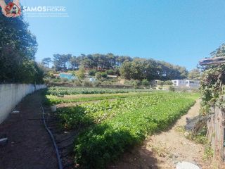 Οικόπεδο 1.614,80 τ.μ. για πώληση, Ν. Σάμου, Σάμος-thumb-2