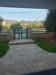 Studio / γκαρσονιέρα 30 τ.μ. για ενοικίαση, Αχαΐα, Πάτρα-thumb-8