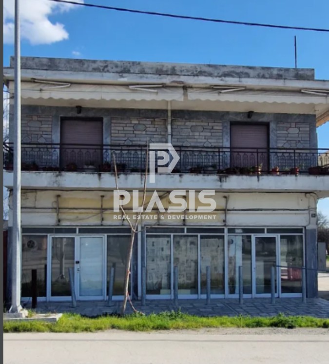 Επιχειρηματικό κτίριο 190 τ.μ. προς ενοικίαση, Δενδροπόταμος