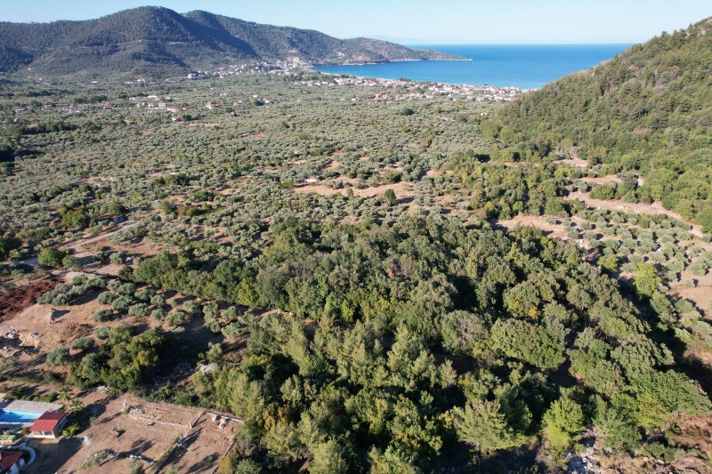 Αγροτεμάχια 720 τ.μ. για πώληση, Ν. Καβάλας, Θάσος