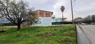 Οικόπεδο 6.500 τ.μ. για πώληση, Αχαΐα, Μεσσατίδα-thumb-19