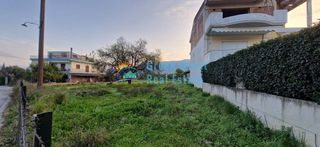 Οικόπεδο 6.500 τ.μ. για πώληση, Αχαΐα, Μεσσατίδα-thumb-2