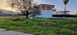 Οικόπεδο 6.500 τ.μ. για πώληση, Αχαΐα, Μεσσατίδα-thumb-5