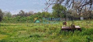 Οικόπεδο 6.500 τ.μ. για πώληση, Αχαΐα, Μεσσατίδα-thumb-21