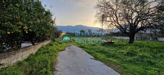 Οικόπεδο 6.500 τ.μ. για πώληση, Αχαΐα, Μεσσατίδα-thumb-3