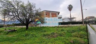 Οικόπεδο 6.500 τ.μ. για πώληση, Αχαΐα, Μεσσατίδα-thumb-18