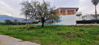 Οικόπεδο 6.500 τ.μ. για πώληση, Αχαΐα, Μεσσατίδα-thumb-17