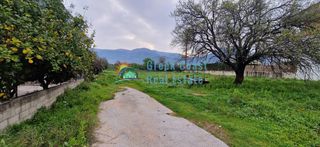 Οικόπεδο 6.500 τ.μ. για πώληση, Αχαΐα, Μεσσατίδα-thumb-13