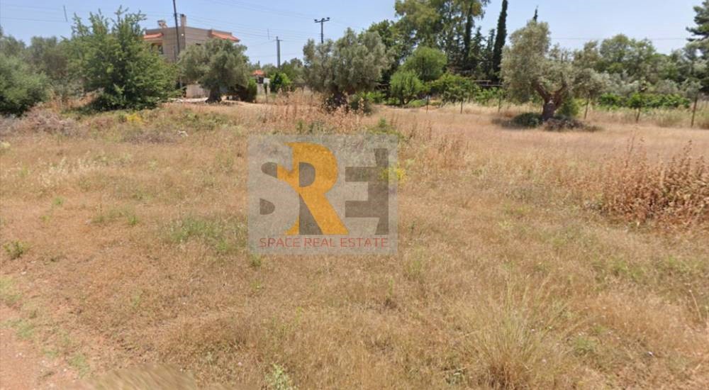 Οικόπεδο 425 τ.μ. προς πώληση, Άνοιξη Παιανίας