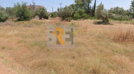 Land plot 425 sqm for sale