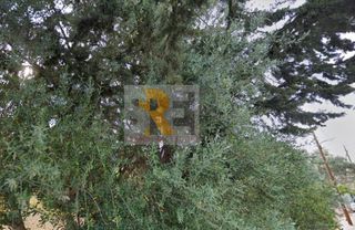 Οικόπεδο 685 τ.μ. για πώληση