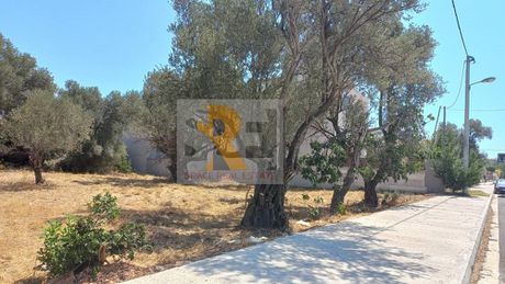 Land plot 1.043 sqm for sale