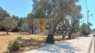 Οικόπεδο 1.043 τ.μ. για πώληση