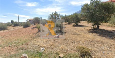 Land plot 846 sqm for sale