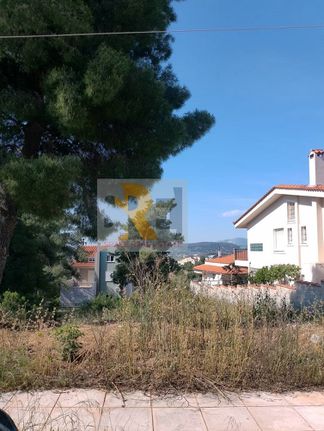 Οικόπεδο 705 τ.μ. για πώληση, Αθήνα - Ανατολικά Προάστια, Παλλήνη