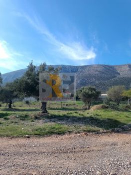 Οικόπεδο 353 τ.μ. προς πώληση