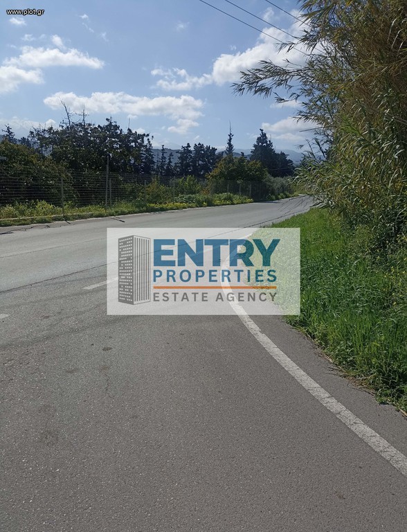 Οικόπεδο 4.380 τ.μ. προς πώληση, Μουσούροι