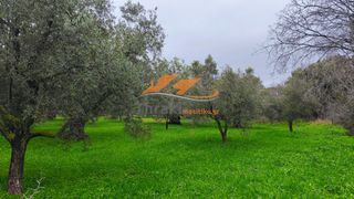 Αγροτεμάχια 600 τ.μ. για πώληση