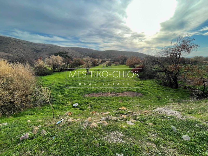 Οικόπεδο 10.080 τ.μ. προς πώληση, Αμάνη
