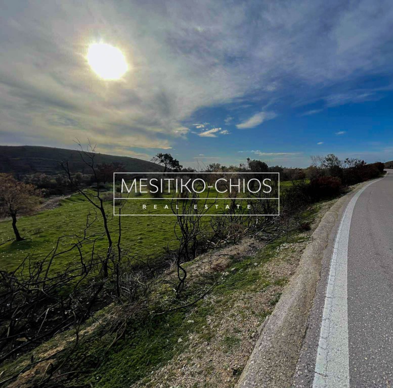 Οικόπεδο 10.080 τ.μ. προς πώληση, Αμάνη